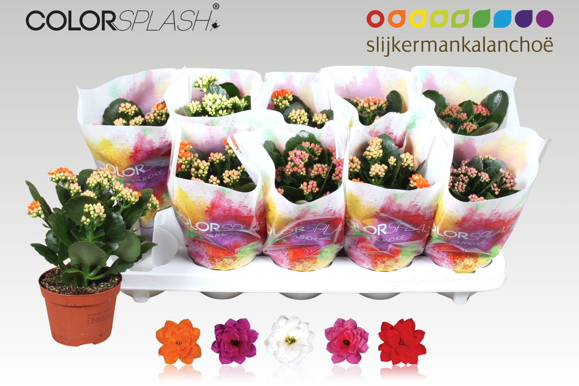 Kalan B Ge Gem 5 Kl 510Ø 20cm