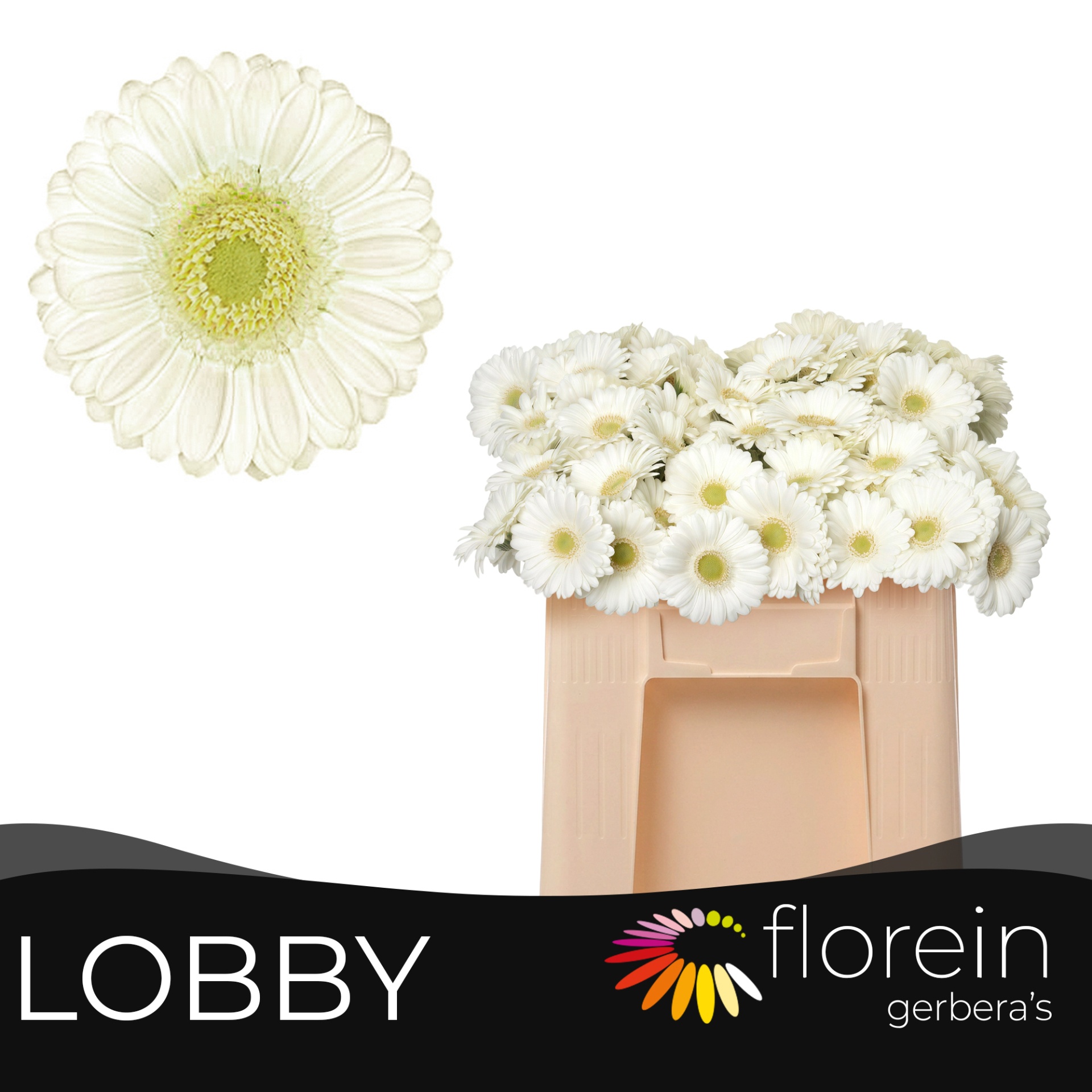 Ge Mi Lobby