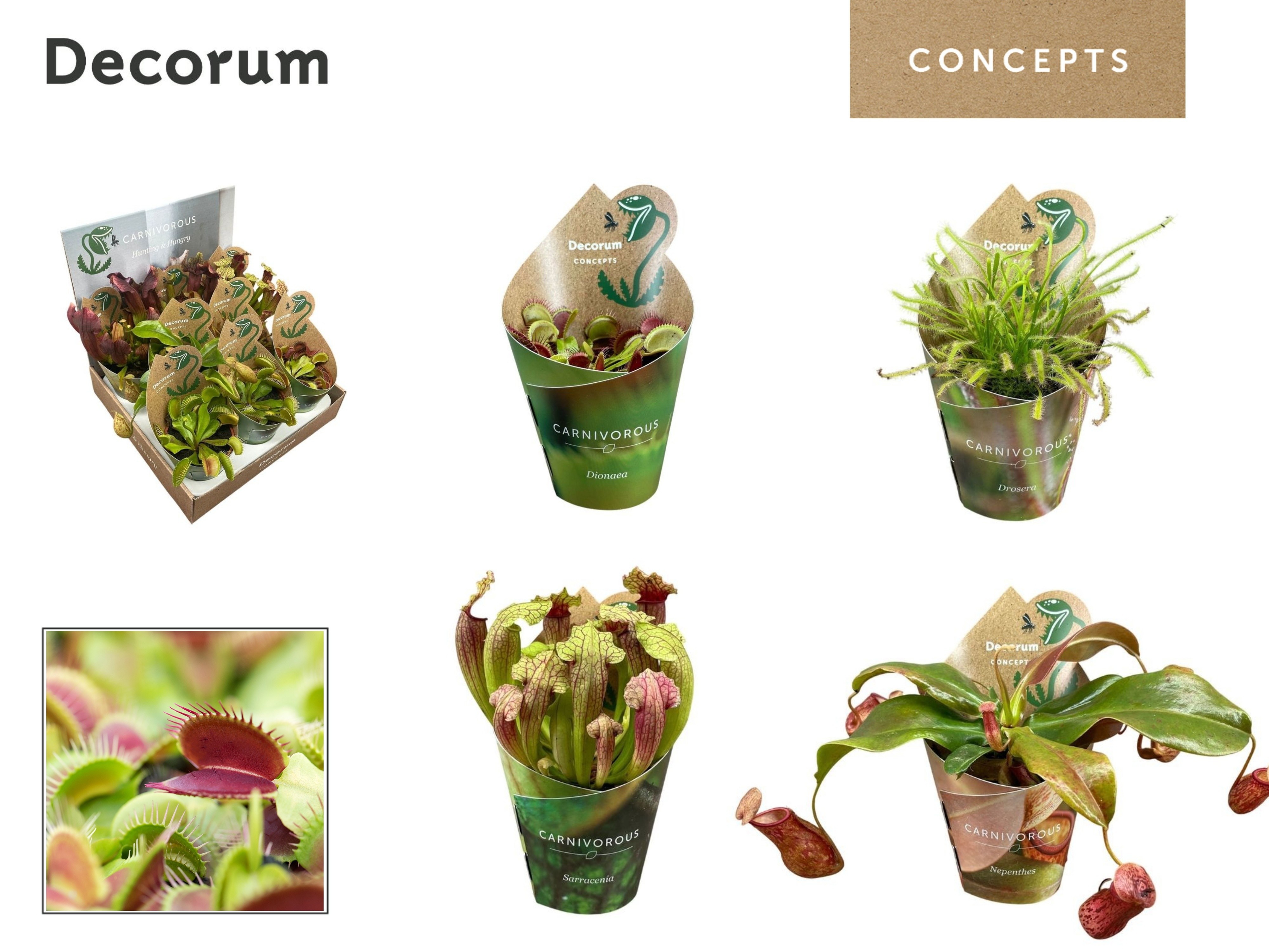 Vleesetende Planten 508P 20H