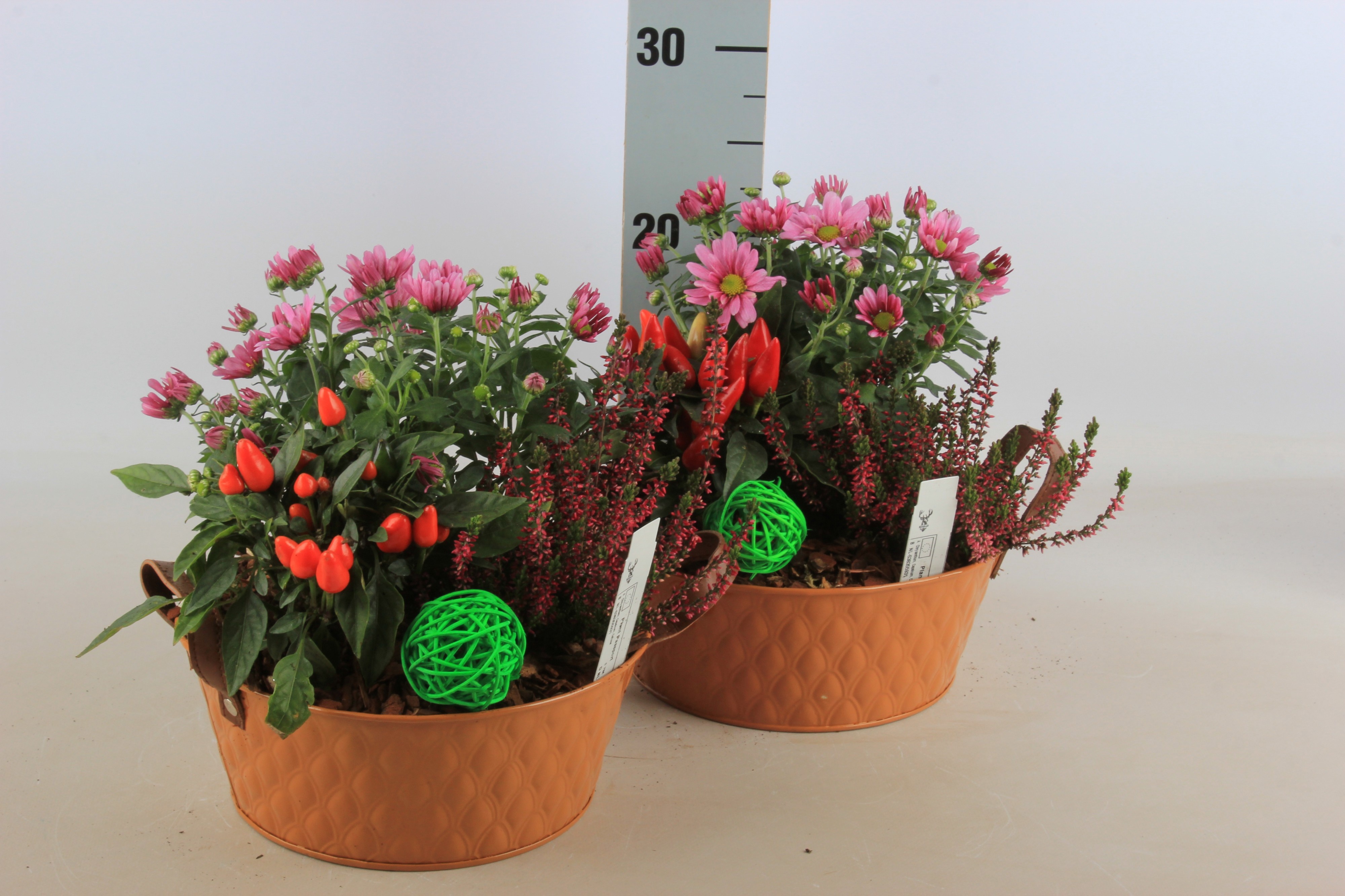 Arrangement Garden Plants 23Ø