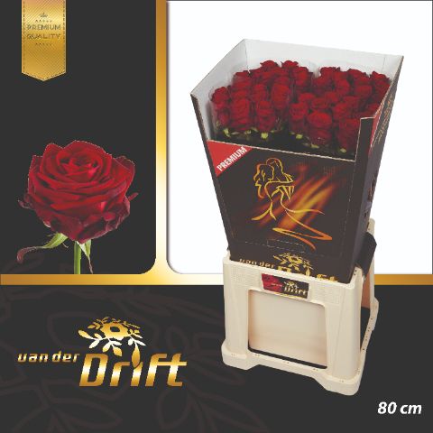 R Gr Red Naomi!