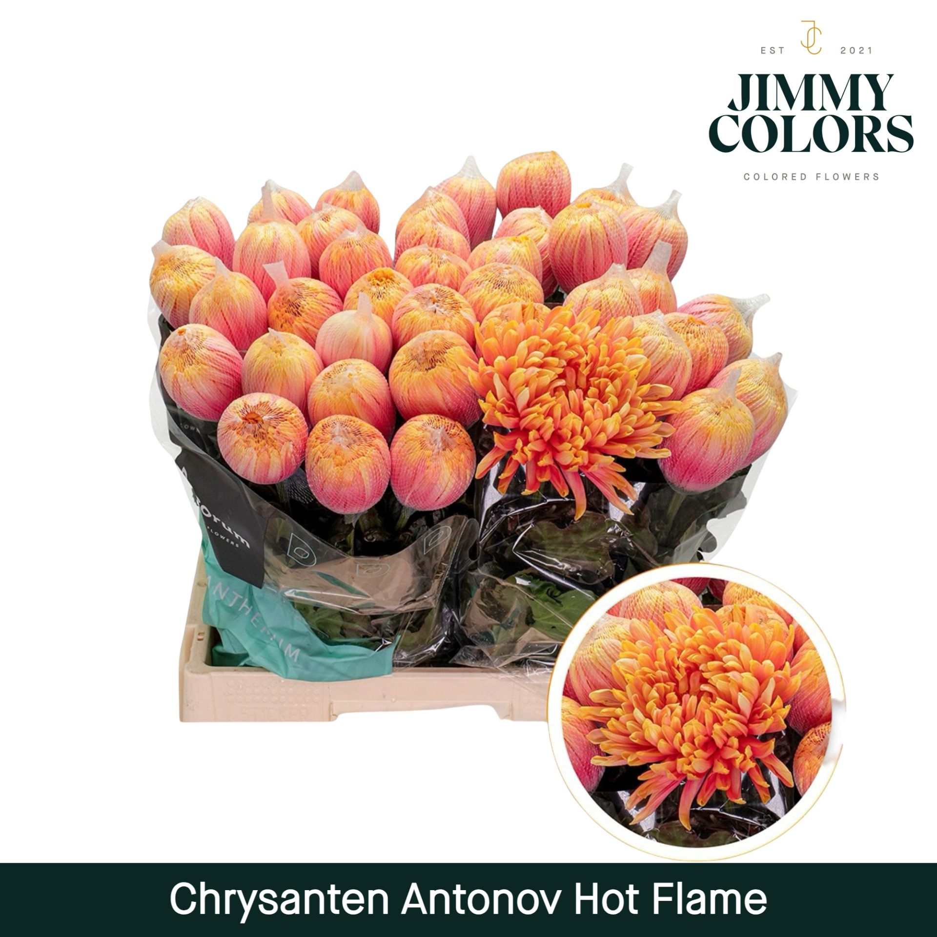 Chr G Antonov Hot Flame