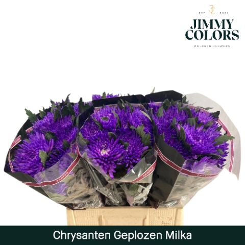 Chr G Topspin Milka