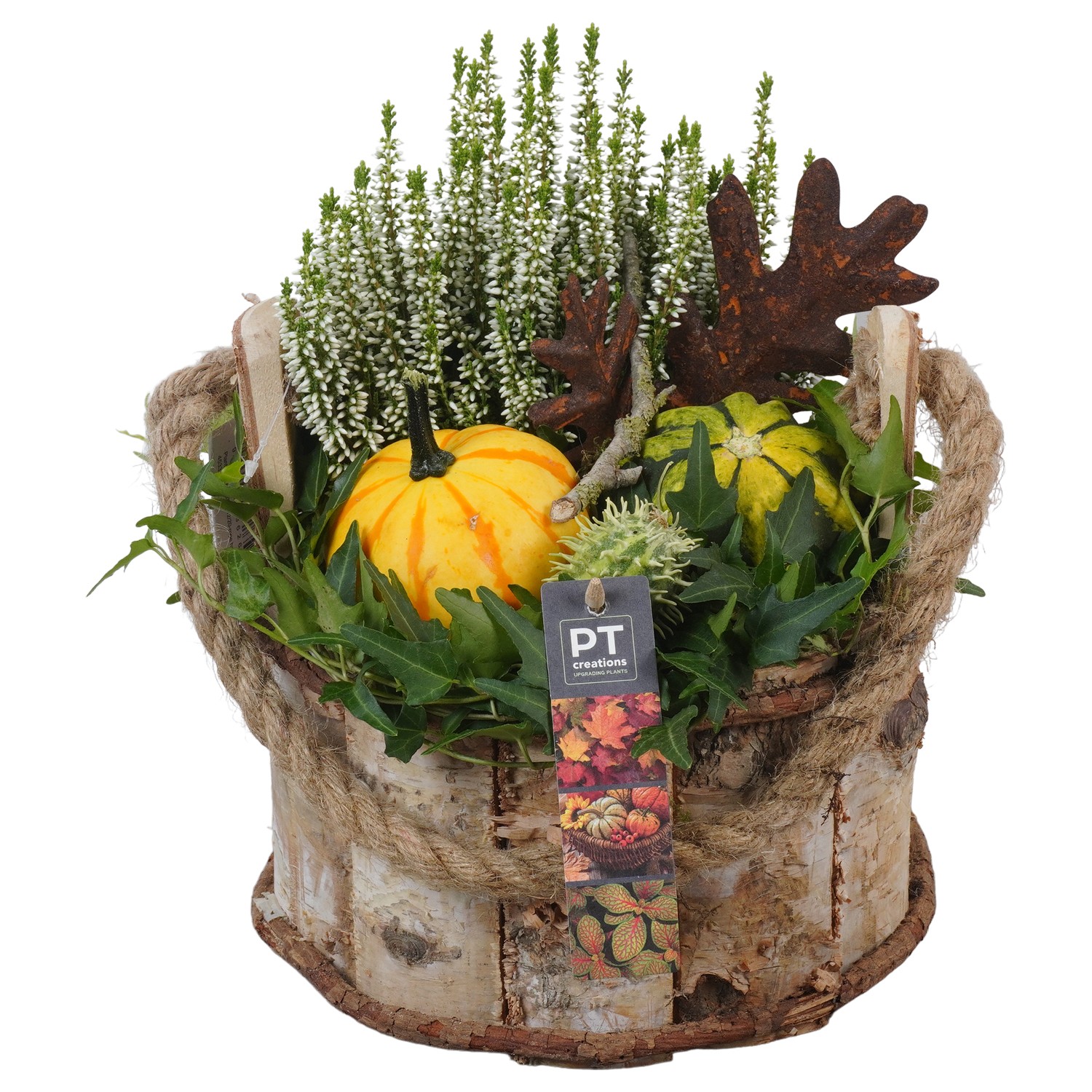 Picture of PTKBH5312 Arrangement Autumn Fruits in wooden pot P21 27cm