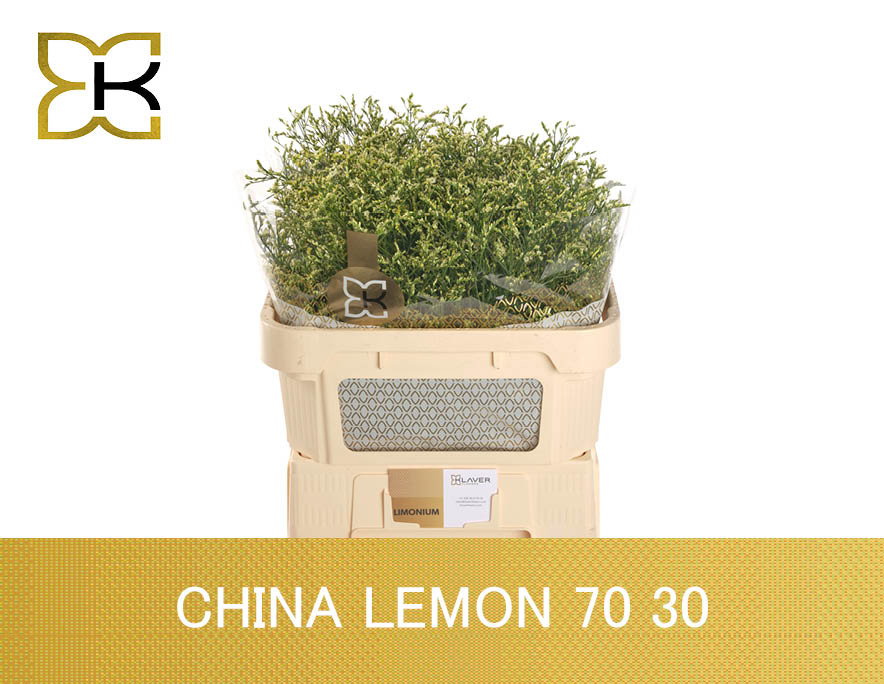 Lim Sin China Lemon