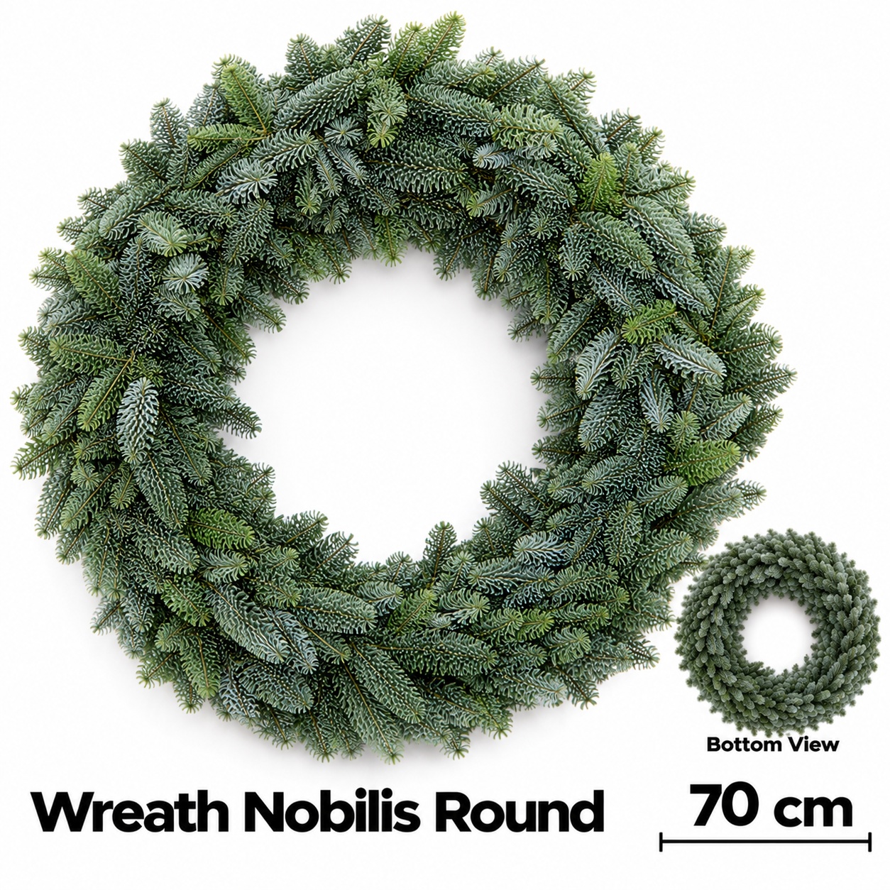 Abies Nobilis Blauw 70L.cm