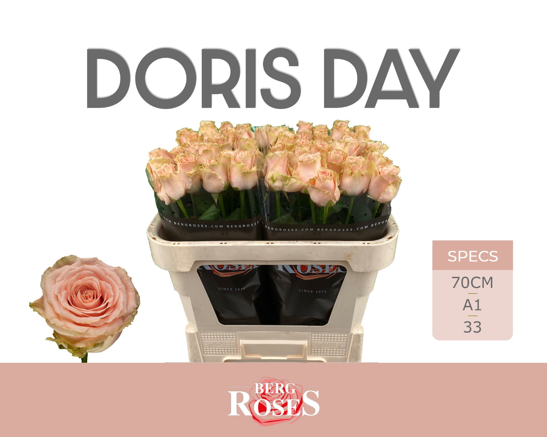 R Gr Doris Day