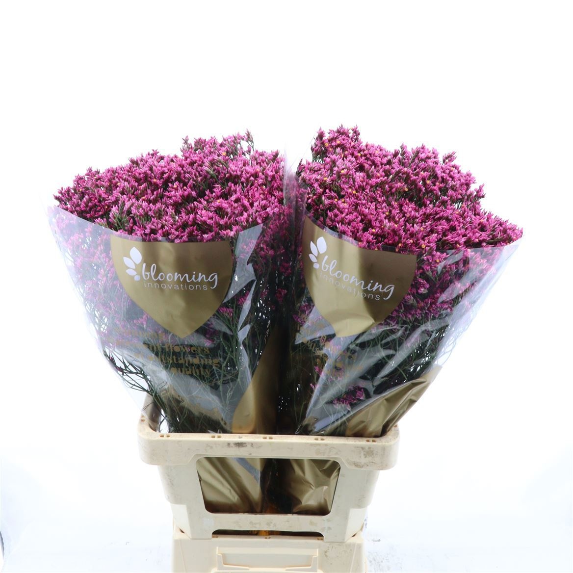 Limonium Sin Tiffany Diamond 70cm 20gram