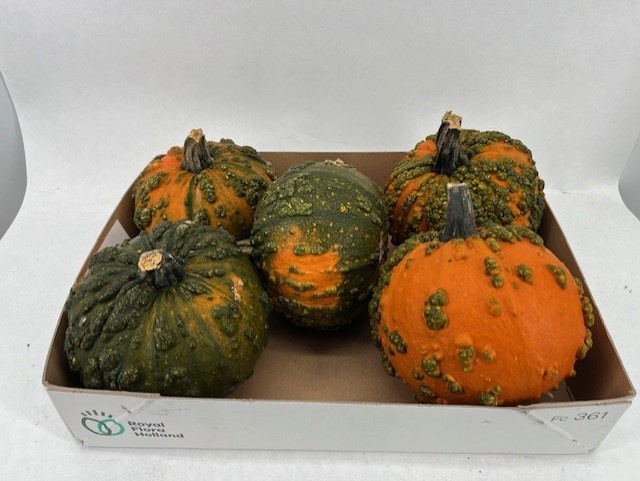 Ornamental Fruits Per Piece