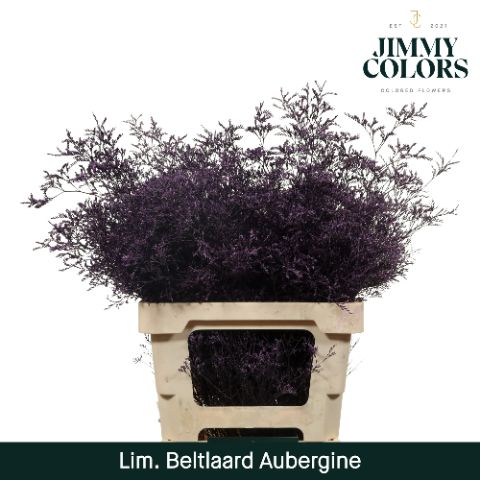Lim Bel L70 Aubergine
