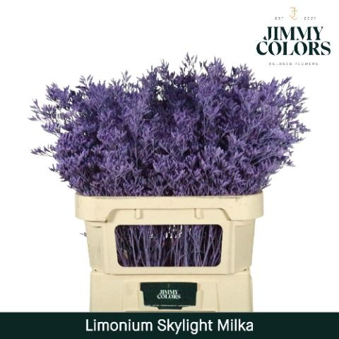 Lim Skylight L70 Milka