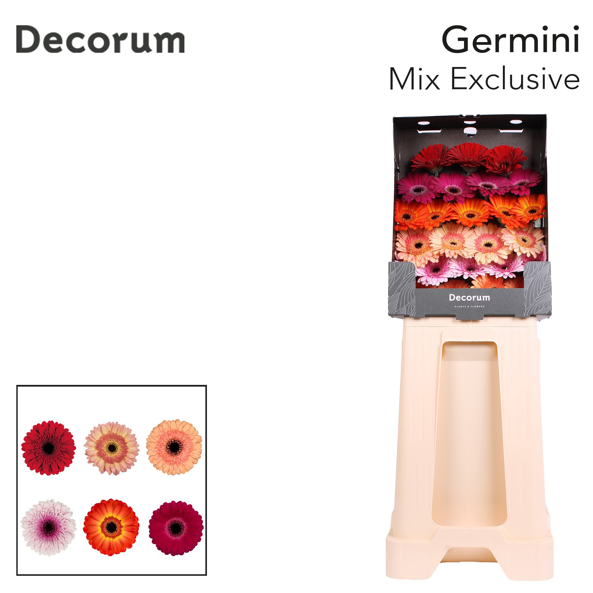 Ge Mi Elite Mix Gem
