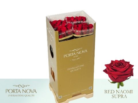 R Gr Red Naomi!