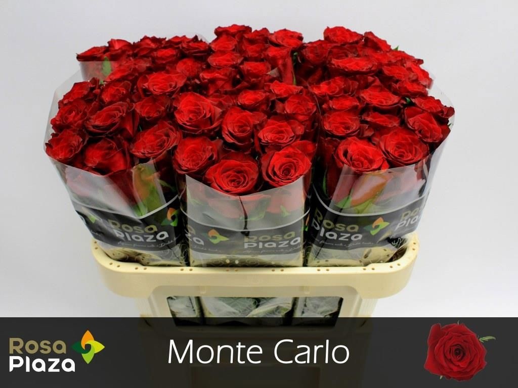 R Gr Monte Carlo