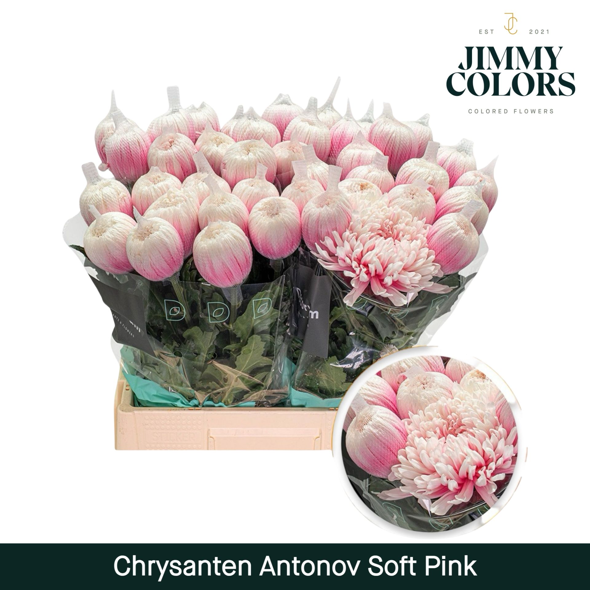 Chr G Antonov Soft Pink