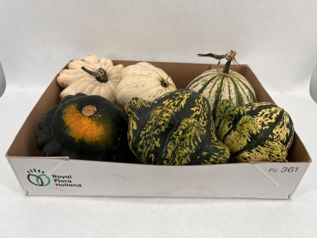 Ornamental Fruits Per Piece