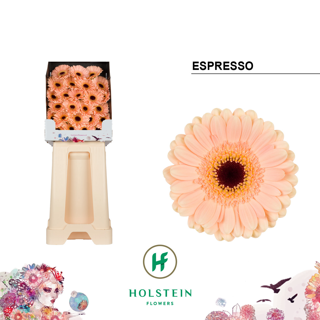 Ge Mi Espresso