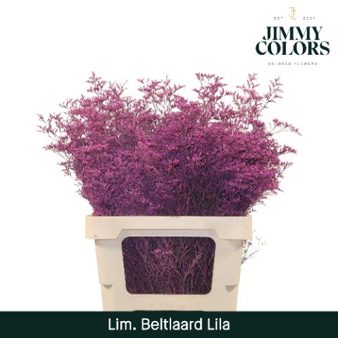 Lim Bel L70 Lila