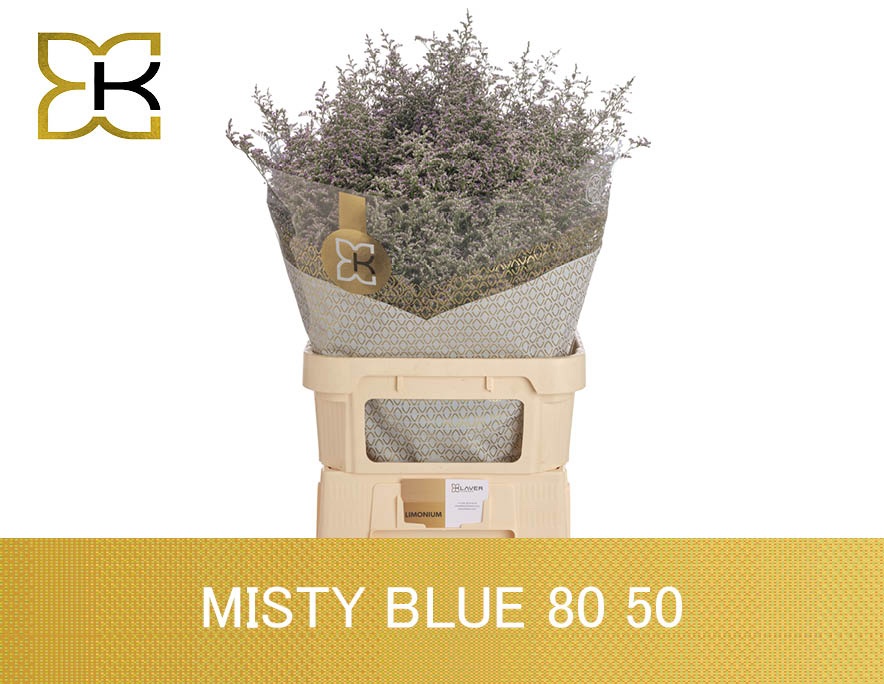 Lim Misty Blue