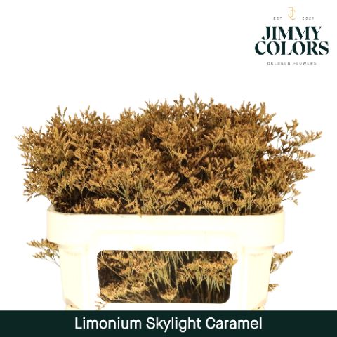 Lim Skylight L70 Caramel