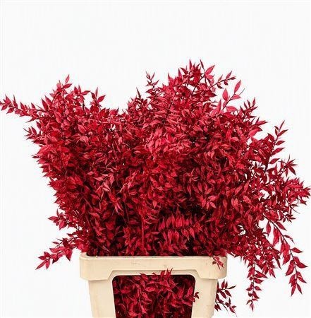 Dried/preserved Flowers Misc 70cm 18gram