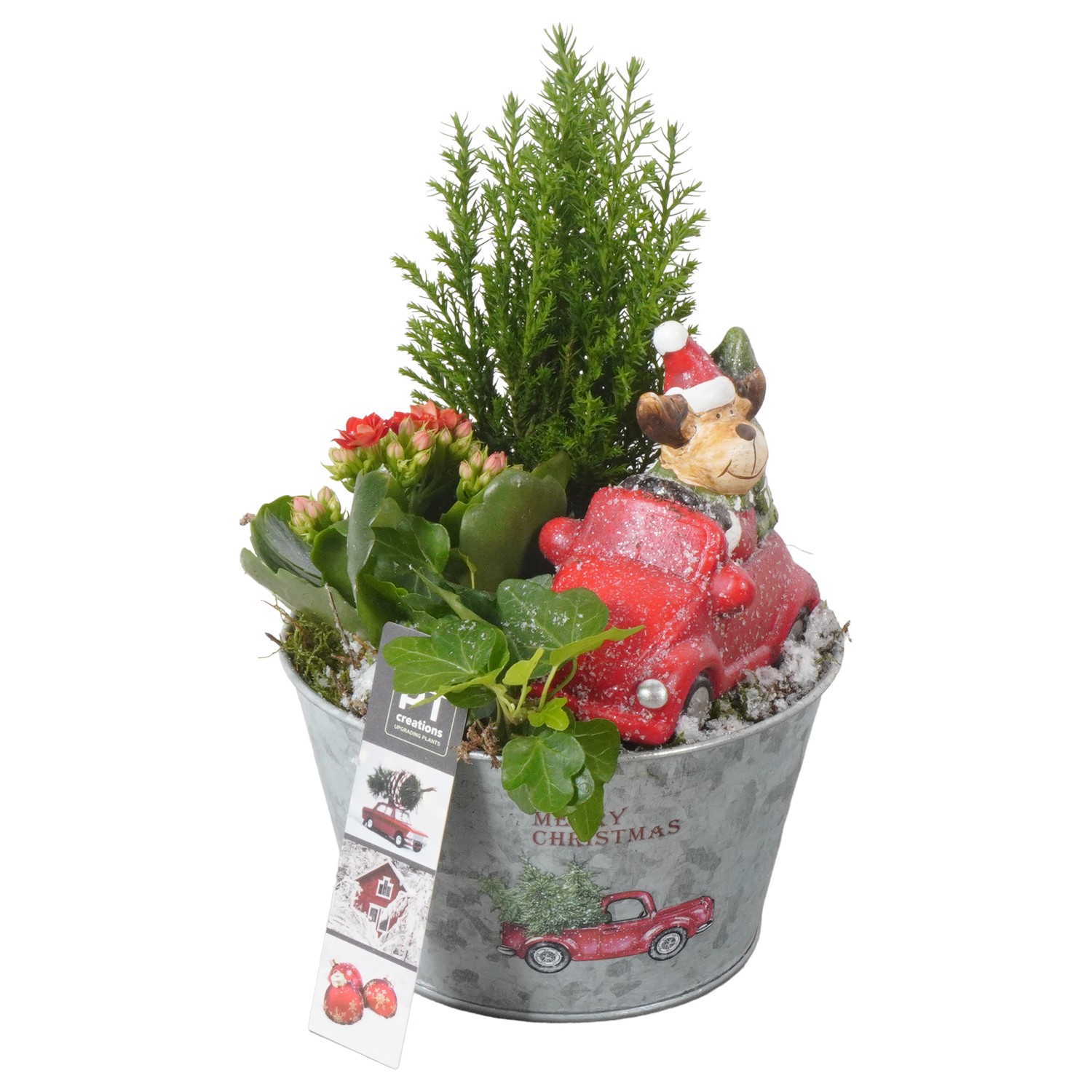 Picture of PTKB9448 Arrangement X-Mas in zinc pot P15 23cm