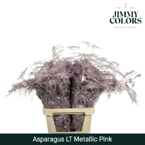 Aspa Lang Getopt Metallic Pink