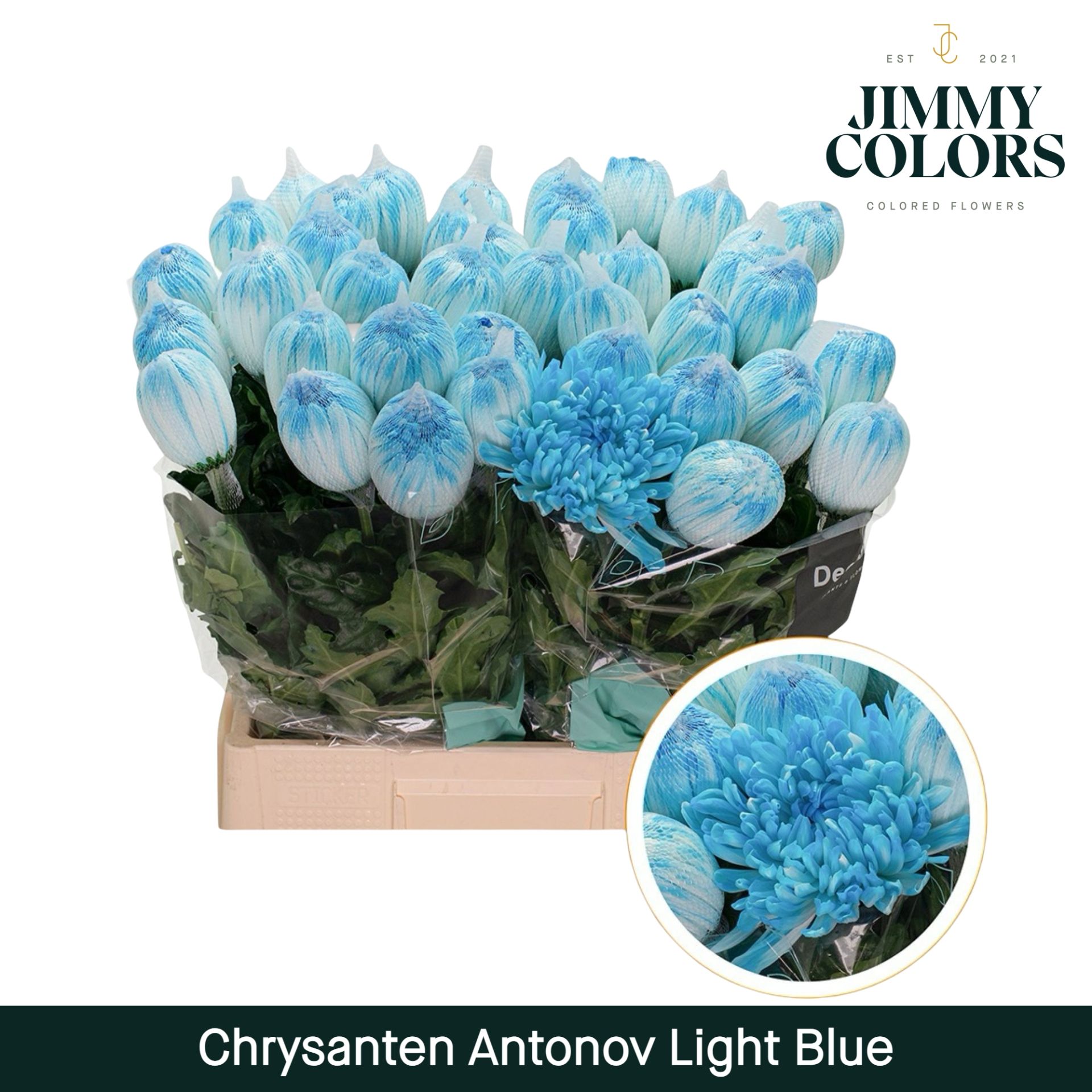 Chr G Antonov Light Blue