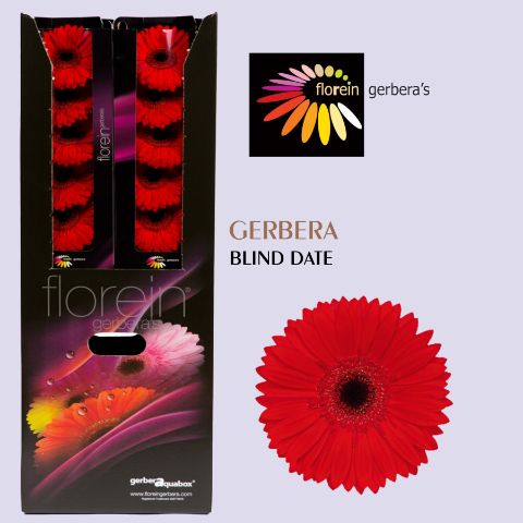 Ge Gr Blinddate