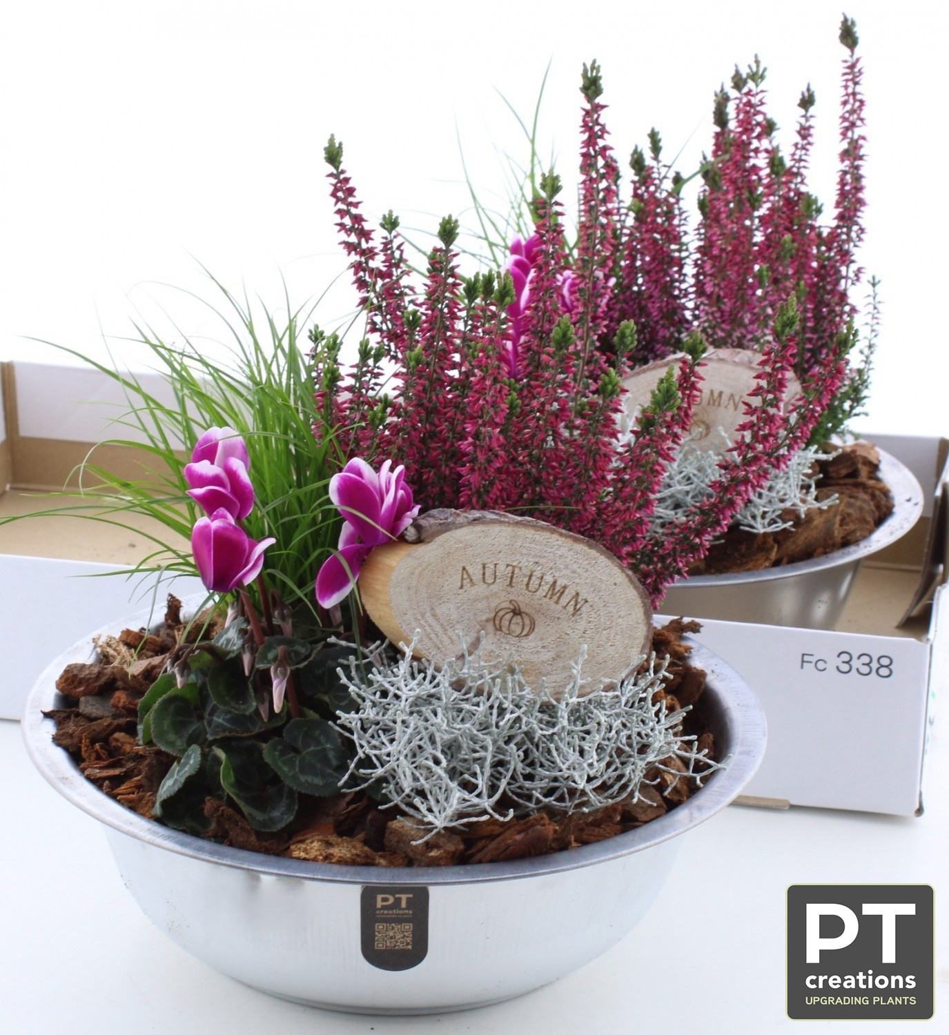 Arrangement Garden Plants 29Ø 29cm