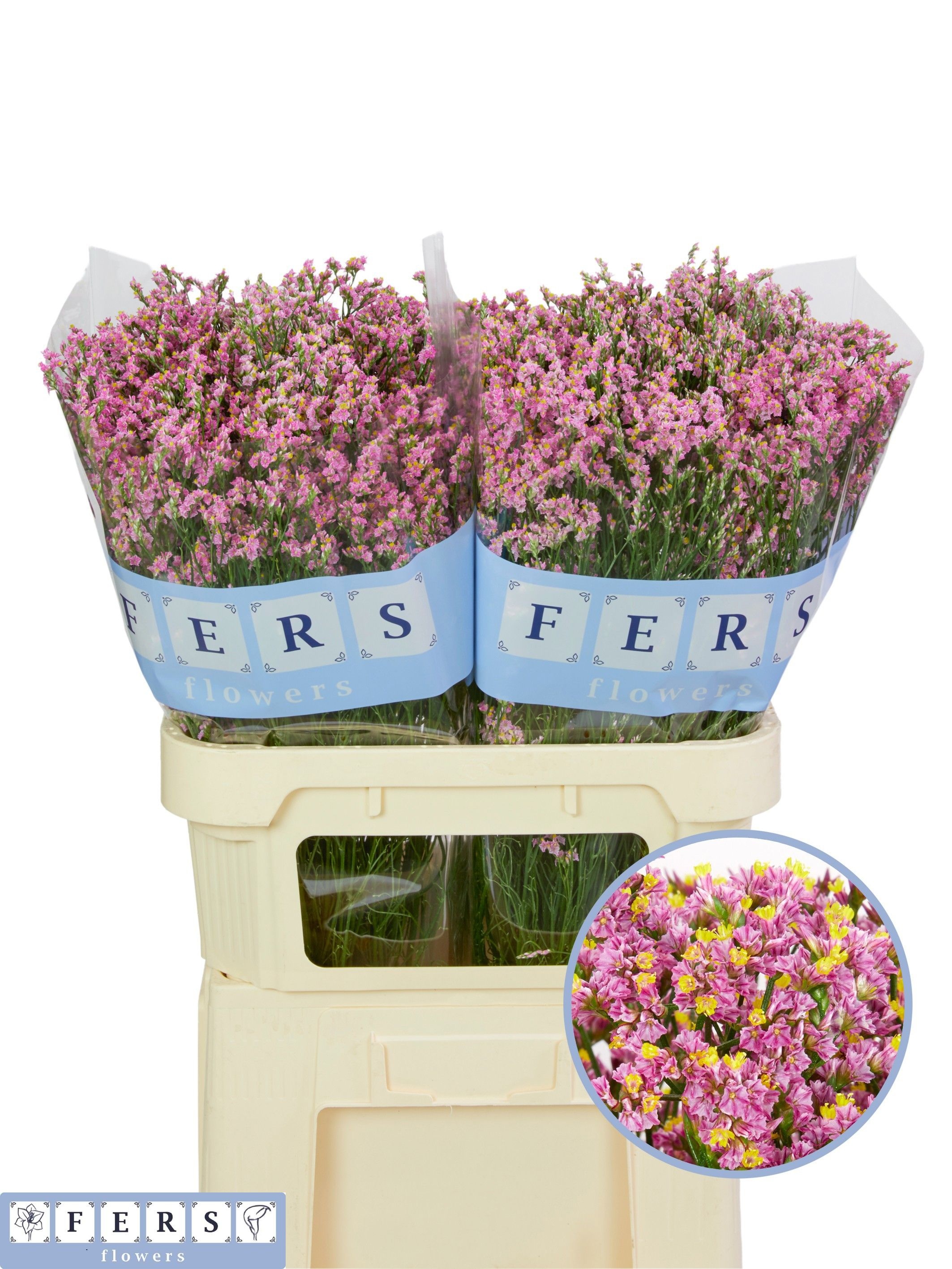 Limonium Sin Anoushka Diamond 60cm 22gram
