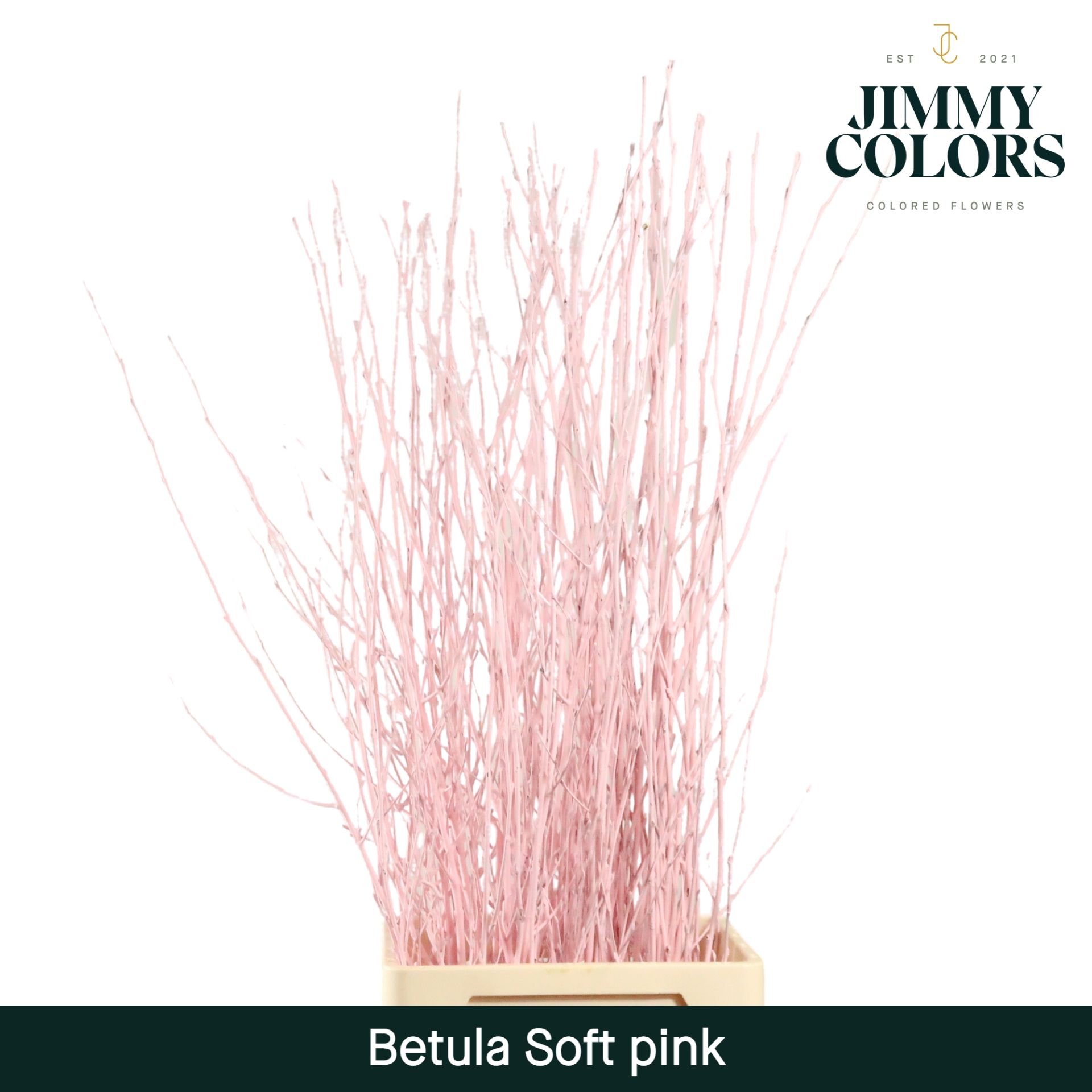 Betula L120 Soft Pink