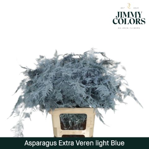 Aspa Extra Veren Light Blue