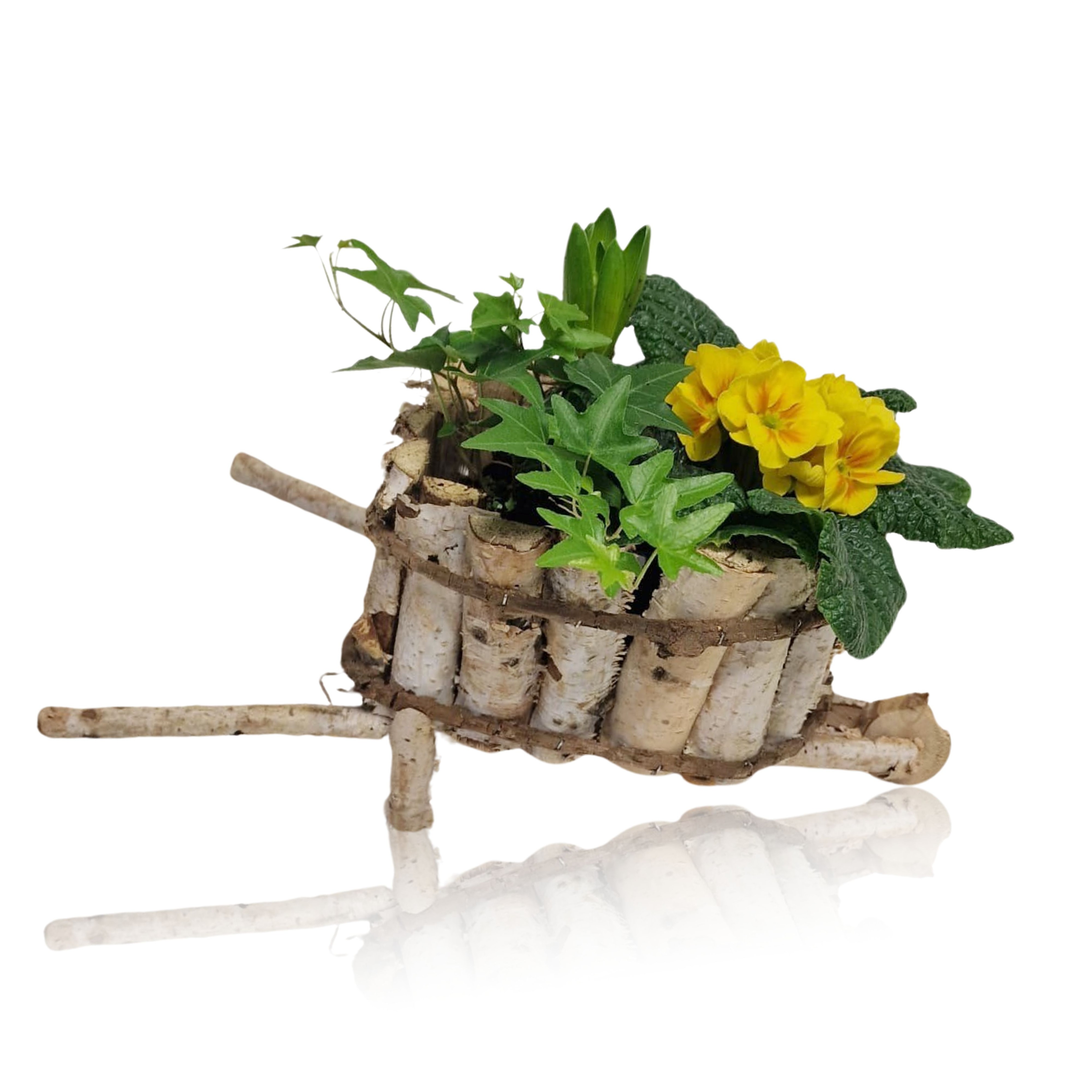 Picture of Collectie Anna Arrangement in wooden wheelbarrow P21 20CM