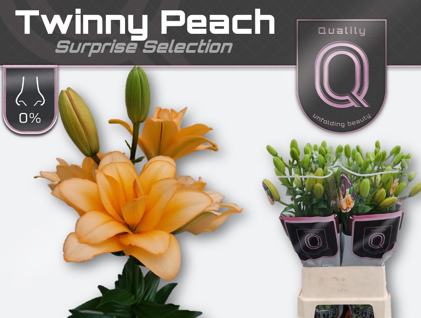 Li La Twinny Peach