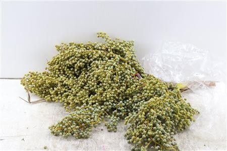 Dates Per Kilo