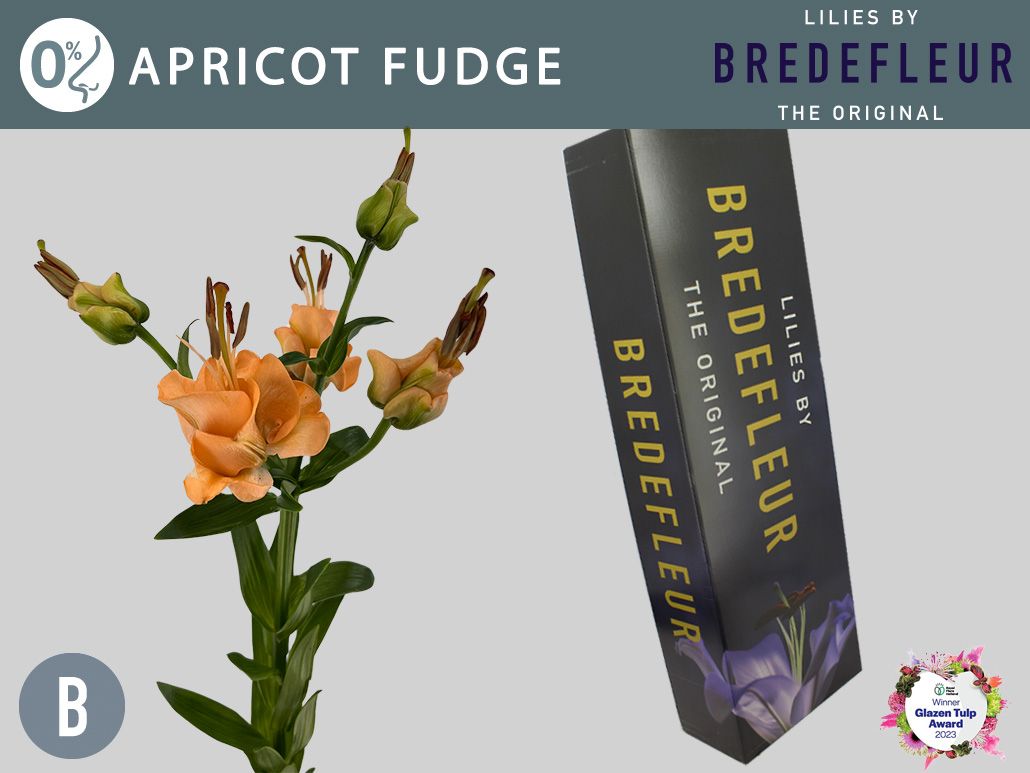 Li La Apricot Fudge
