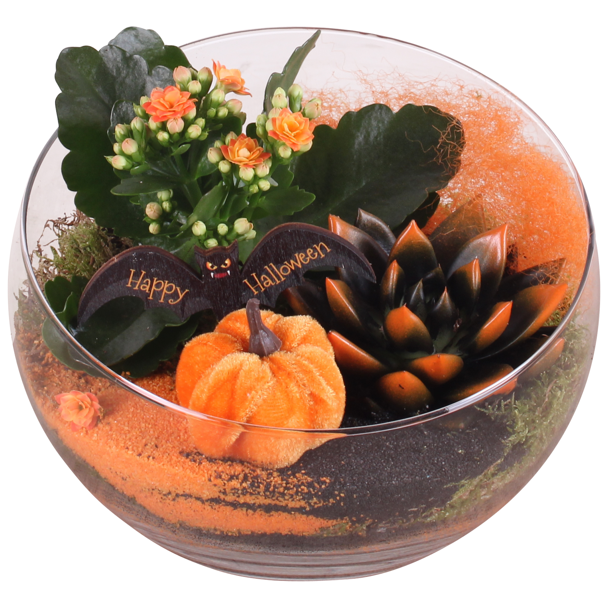 Picture of Halloween Arr. Indoor Glass Bowl 2PP P20 20CM