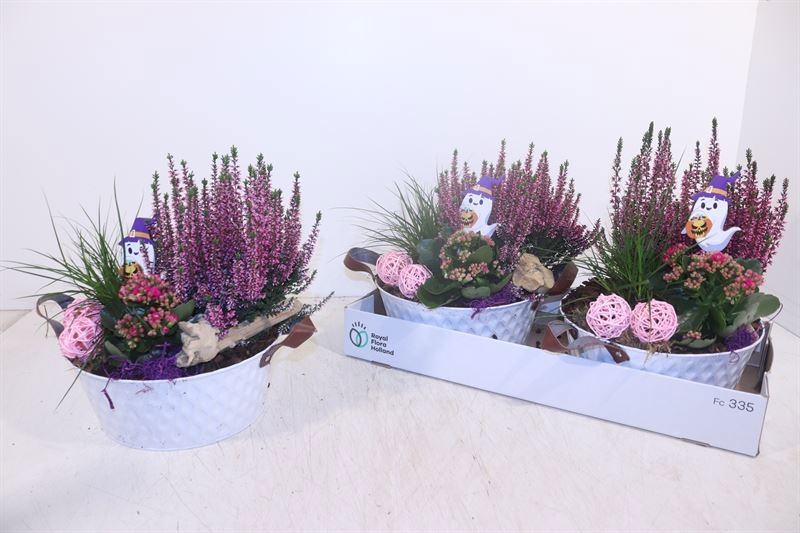 Arr Tuinplanten 26P 32cm