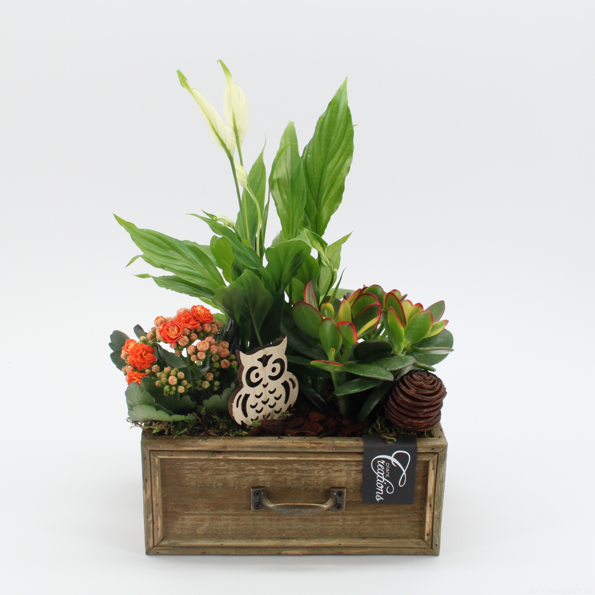 Picture of Arrangement indoor Autumn Essentials HECR-2409 P23 35CM