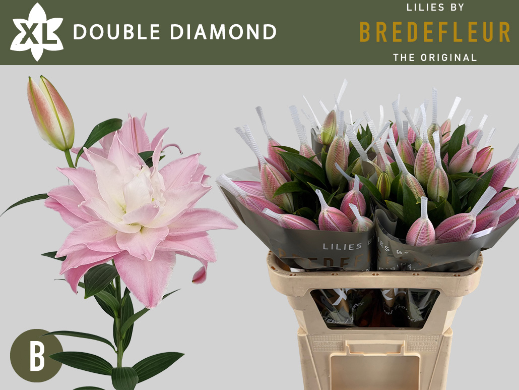 Li Or Du Dou Diamond