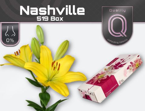 Li La Nashville