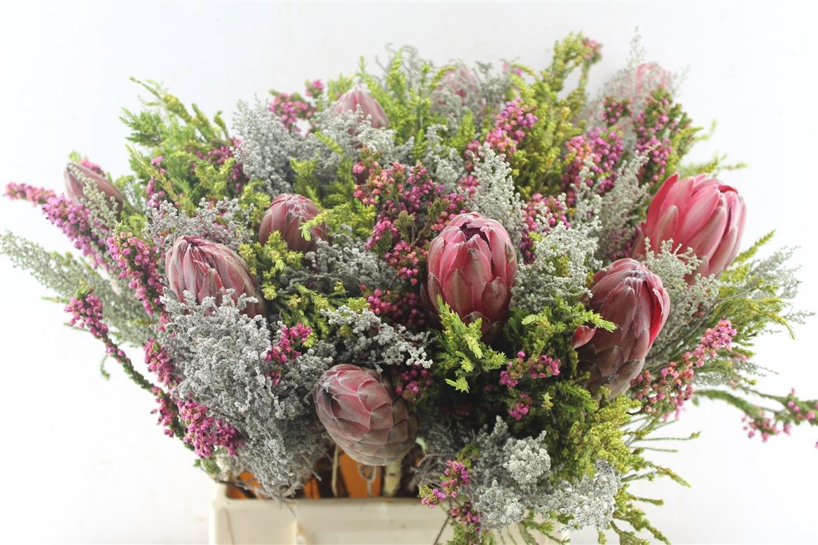 Protea Bouquet Per Bunch 50cm