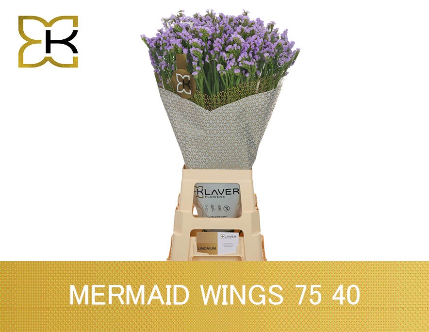 Lim S Mermaid Wings 70cm 40gram
