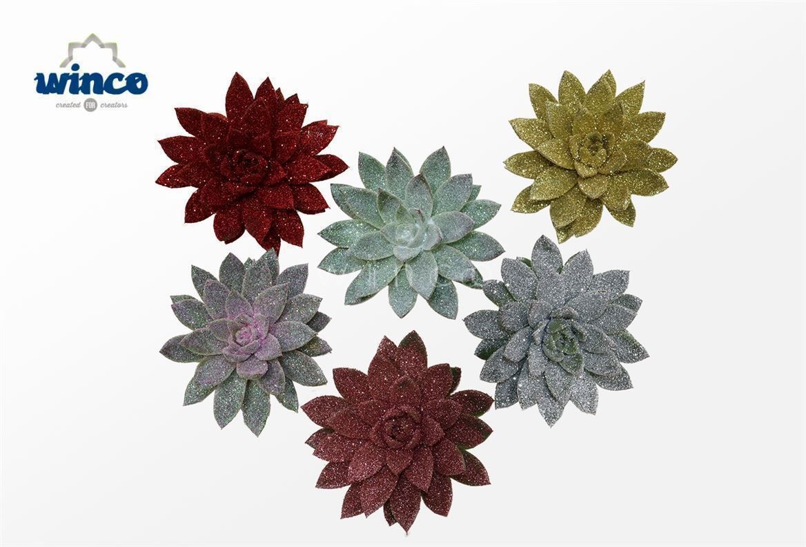 Echeveria Agavoides Glitter Mix Cutflower (bio)