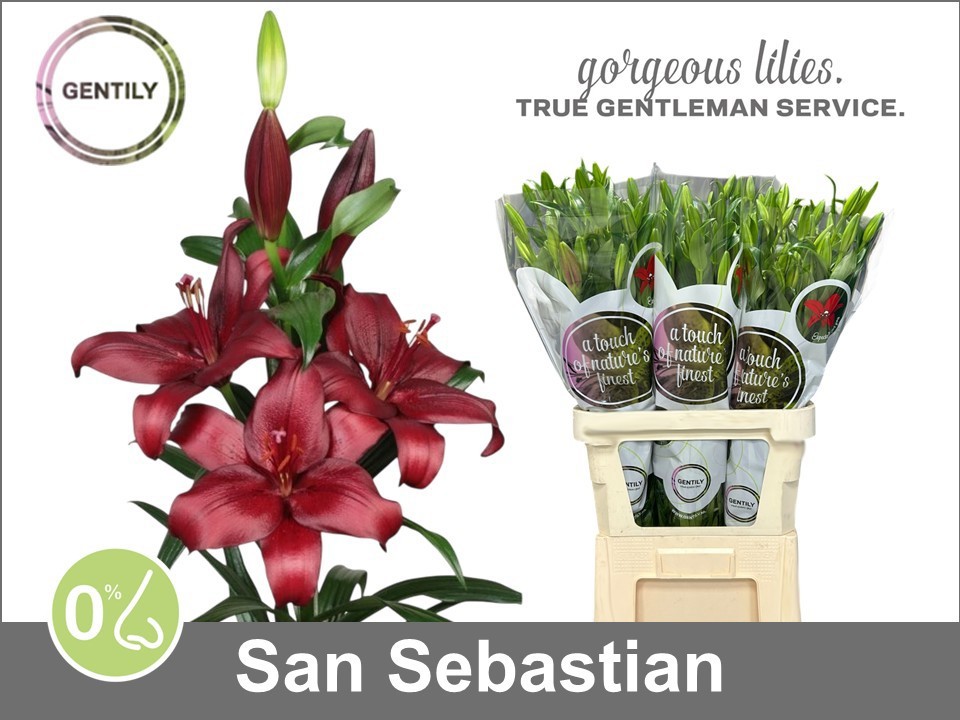 Li La San Sebastian