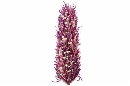 Dried/preserved Flowers Misc 70cm