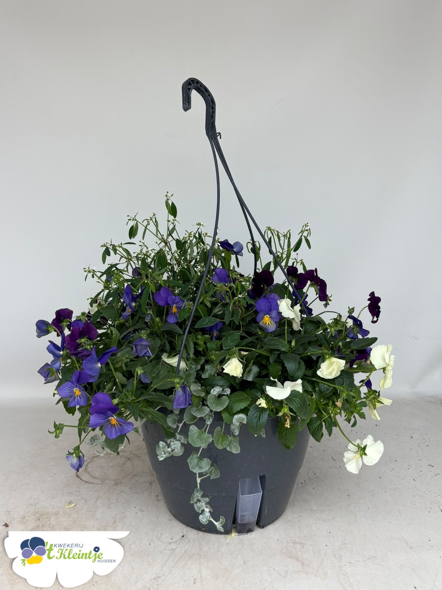 Hanging Baskets 27P 40H