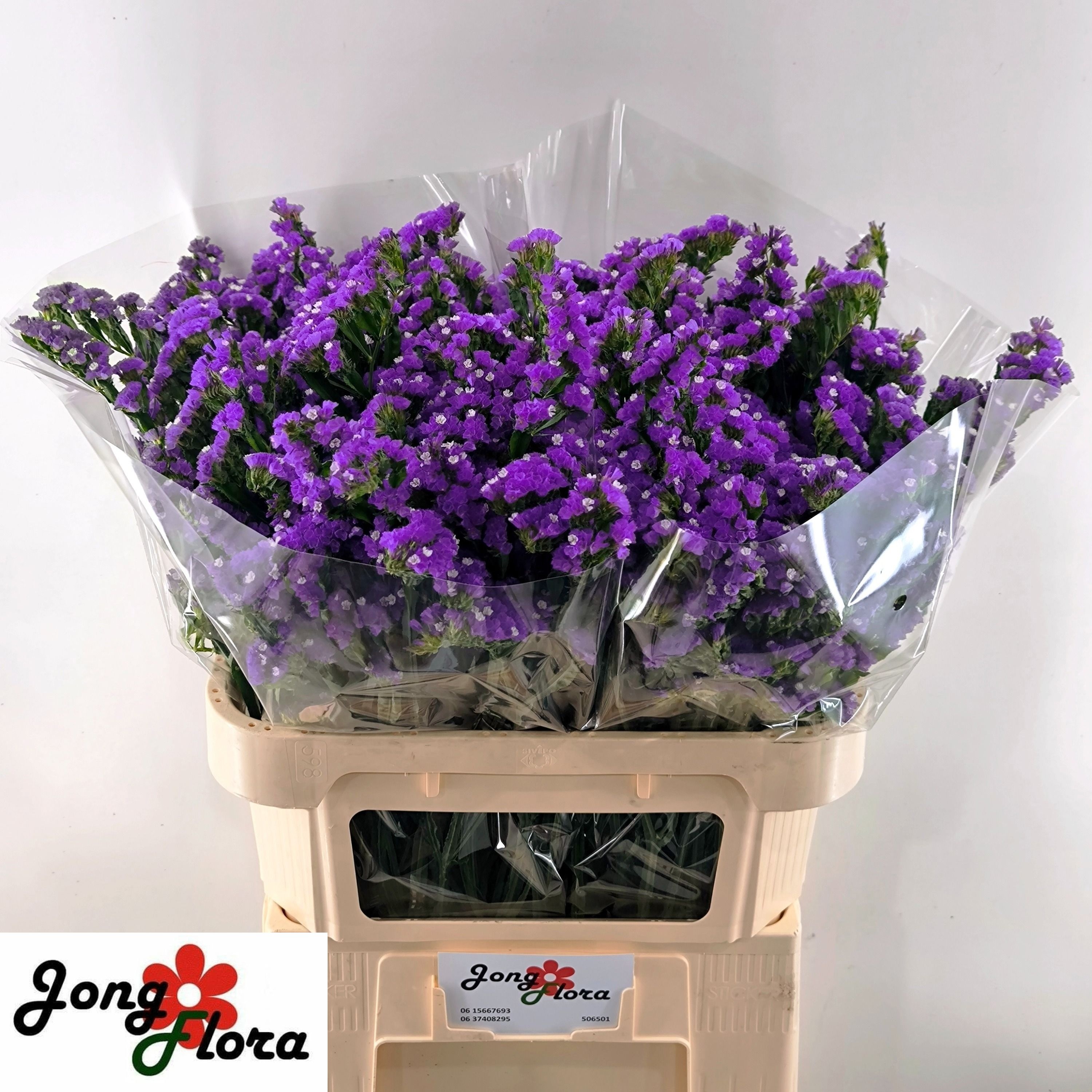 Limonium St Crystal Dark Blue 70cm 35gram