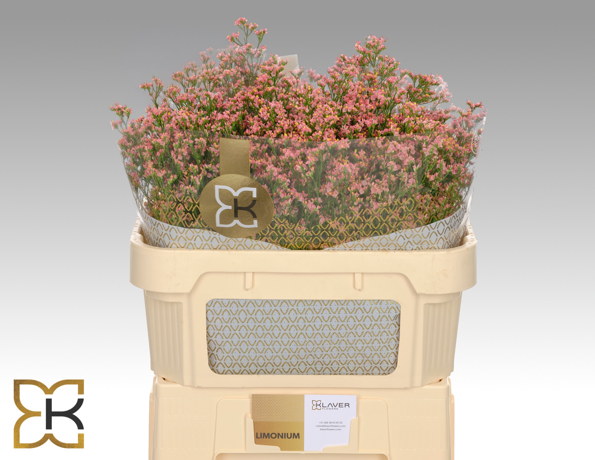 Limonium Sin Inca Diamond 70cm 30gram